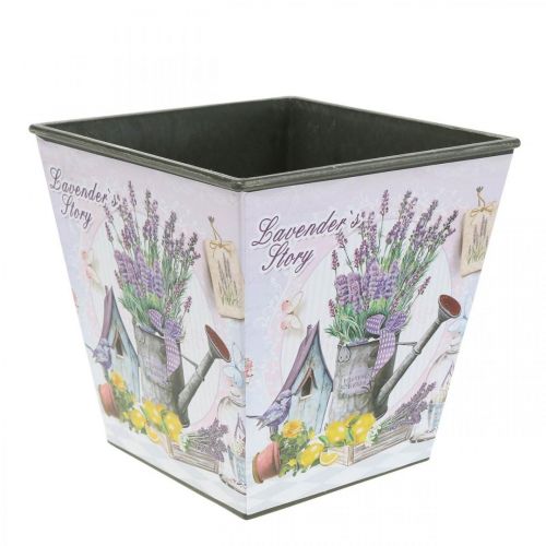 Floristik24 Portavaso motivo lavanda, vaso decorativo quadrato, cachepot in plastica H13cm L13,5cm