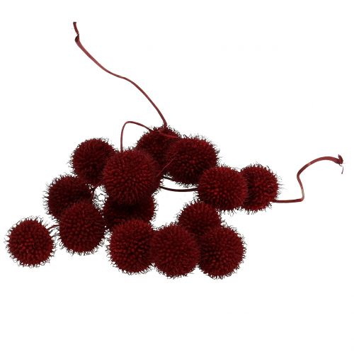 Floristik24 Frutti di platano essiccati rosso scuro 250g