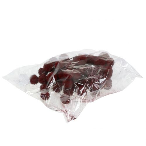 Floristik24 Frutti di platano essiccati rosso scuro 250g