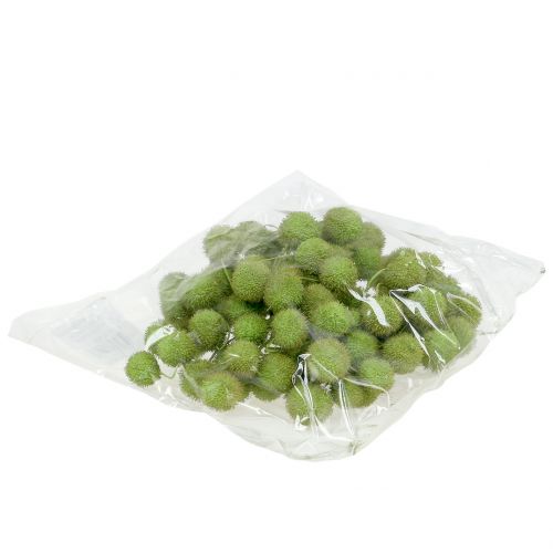 Floristik24 Aereo frutto verde 200g