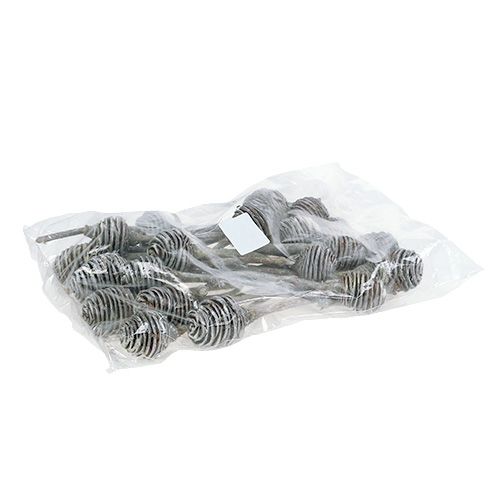 Prodotto Platyspermum 25 pz. Lavato bianco