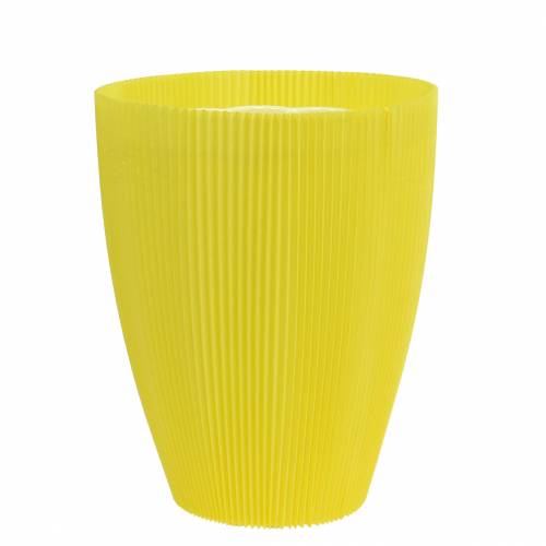 Floristik24 Polsini plissettati gialli 14,5 cm 100 pezzi