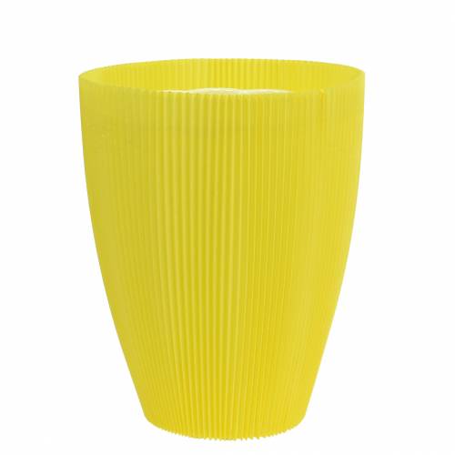 Floristik24 Polsini plissettati giallo 14,5cm (100pz.)