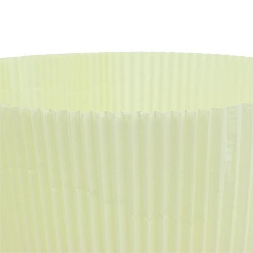 Floristik24 Polsini a pieghe giallo chiaro 18,5 cm 100 pezzi.