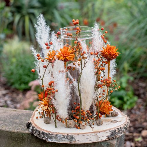 Prodotto Plumosum 1 Arancio 25 pz
