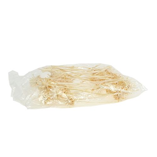 Prodotto Plumosum 1 decolorato 25 pz