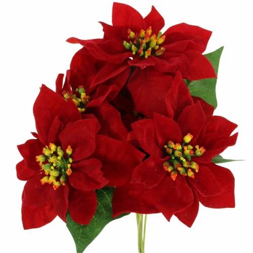 Floristik24 Bouquet di stella di Natale velluto rosso 35 cm