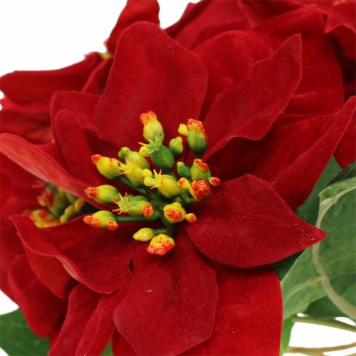 Prodotto Poinsettia bouquet velluto rosso 35cm