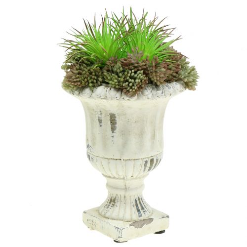 Floristik24 Coppa Antica Pietra Casting Cream Ø9cm H12cm 2 pezzi