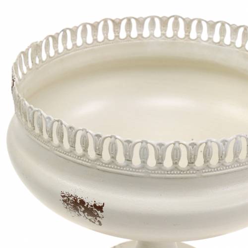 Floristik24 Calice Coppa Pianta Crema Antica Ø20cm H20cm 1 pz