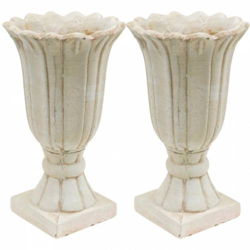 Floristik24 Anfora decorativa, calice per piantare, calice vaso per piantare tulipani Ø12cm H25,5cm 2 pezzi