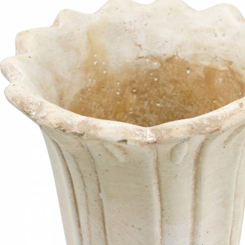 Floristik24 Fioriera, coppa tulipano, calice decorativo, anfora per piantare Ø14.5cm H25.5cm