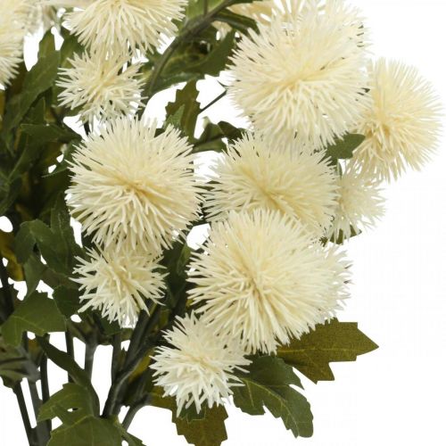 Floristik24 Ramo di pompon crema deco ramo autunno 55cm 4 pezzi