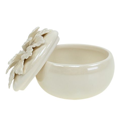 Floristik24 Scatola di porcellana crema Ø7,5cm H6cm