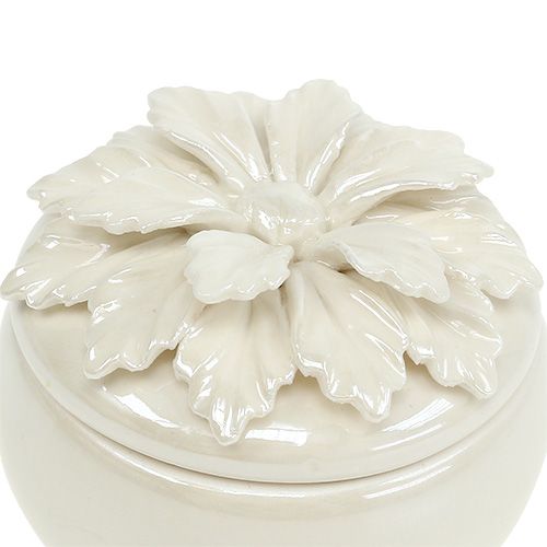 Floristik24 Scatola di porcellana crema Ø7,5cm H6cm