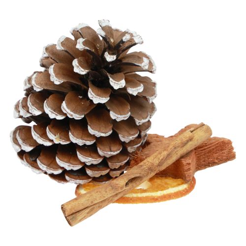 Floristik24 Pot-pourri di Natale con fette d&#39;arancia e cannella in legno 150g