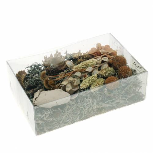Floristik24 Herbstdeko Mix come set artigianale essiccato candeggiato 150 g