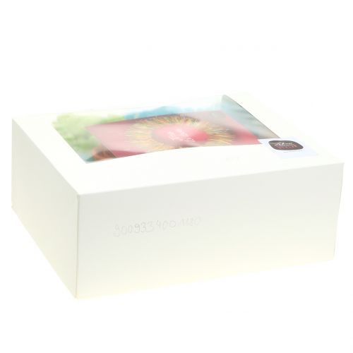 Floristik24 Craft set Lehner lana primavera colorato
