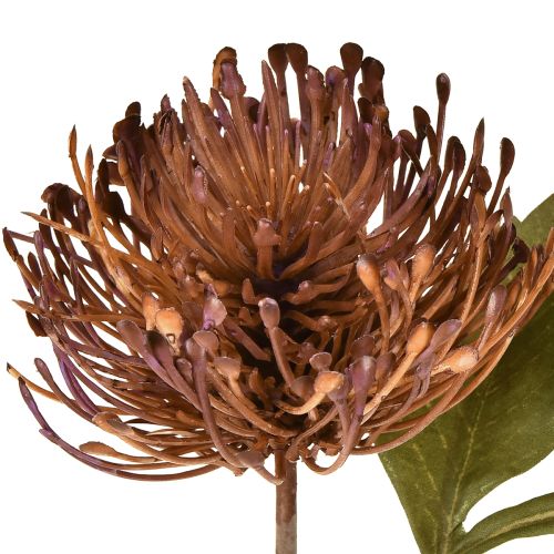 Prodotto Cuscino per spilli artificiale Protea Leucospermum viola 30 cm 6 pezzi