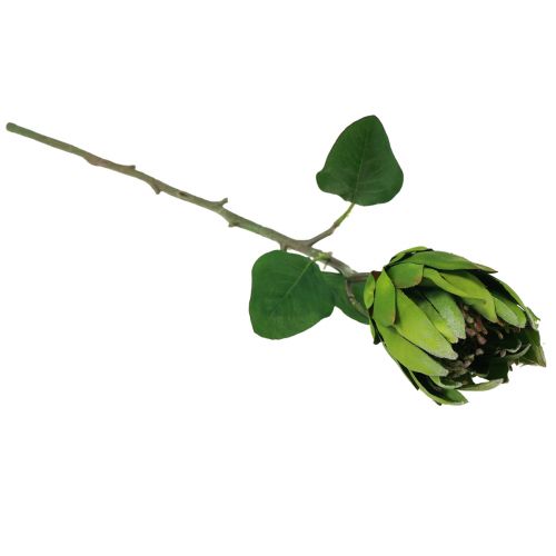 Prodotto Protea Verde Rosso Fiore Artificiale Ramo Artificiale L65cm Ø5.5cm