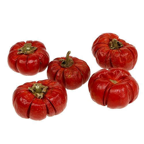 Floristik24 Mini Zucca Rossa 250g