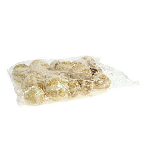Floristik24 Coppa di Zucca sbiancata 20 pz