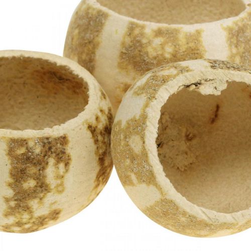 Prodotto Decoro Zucca Coppa Campana Coppa Zucca sbiancata 50 pz