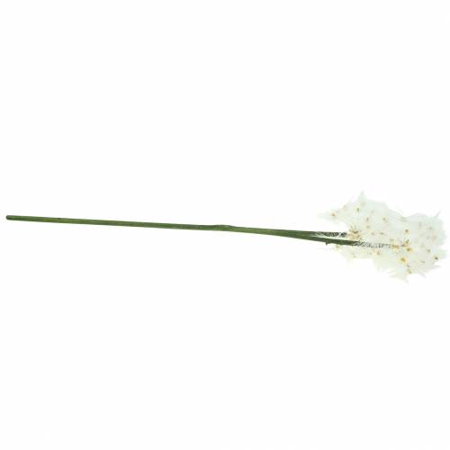 Floristik24 Blowball gigante di fiori artificiali di prato bianco 57cm