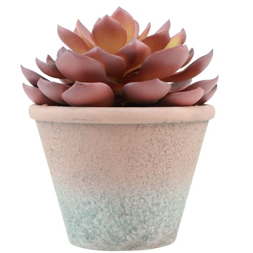 Prodotto Pianta grassa in vaso Echeveria artificiale rossa vintage Ø15cm H16cm