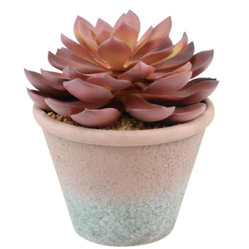 Floristik24 Pianta grassa in vaso Echeveria artificiale rossa vintage Ø15cm H16cm