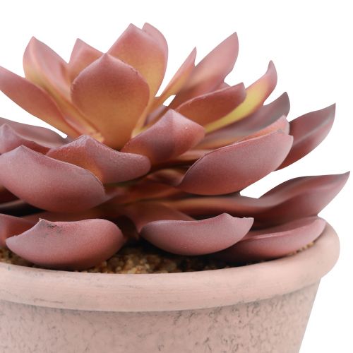 Prodotto Pianta grassa in vaso Echeveria artificiale rossa vintage Ø15cm H16cm
