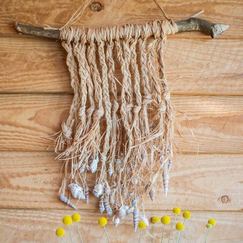 Floristik24 Mix di cozze natura 3cm – 5cm 200g