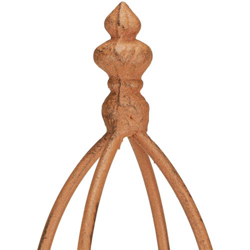 Floristik24 Traliccio in metallo effetto ruggine Obelisco 69/86cm Set 2 pezzi