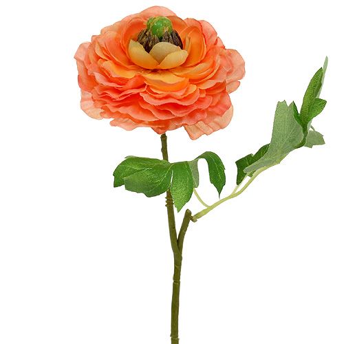 Floristik24 Ranuncolo arancione 27 cm 8 pezzi
