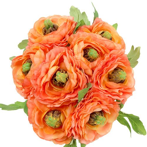 Floristik24 Ranuncolo arancione 27 cm 8 pezzi