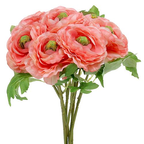 Floristik24 Ranunculus rosa-rosa 27 cm 8 pezzi