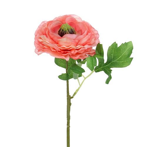 Floristik24 Ranunculus rosa-rosa 27 cm 8 pezzi