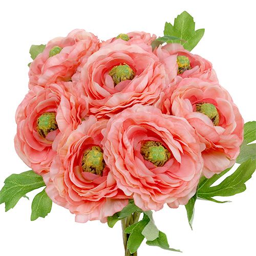 Floristik24 Ranunculus rosa-rosa 27 cm 8 pezzi