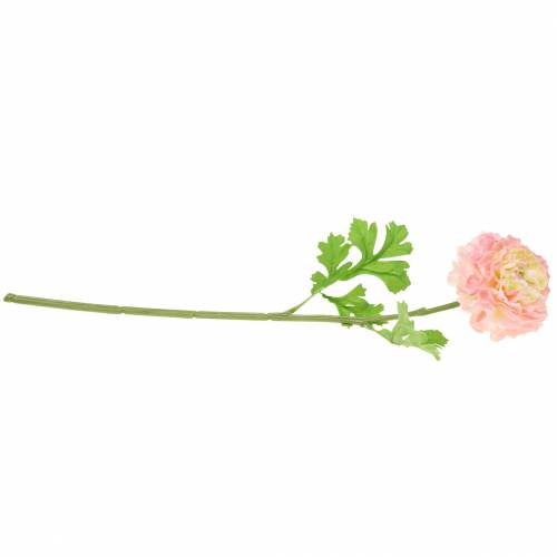 Prodotto Ranuncolo rosa H45cm