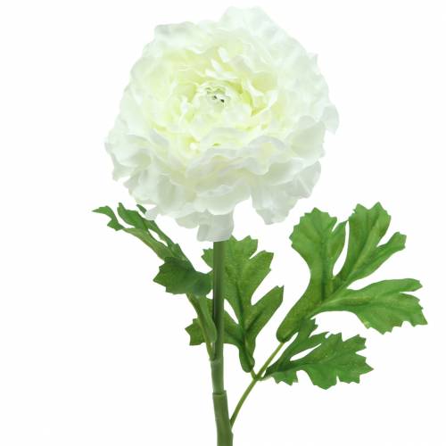 Ranuncolo Bianco A45cm