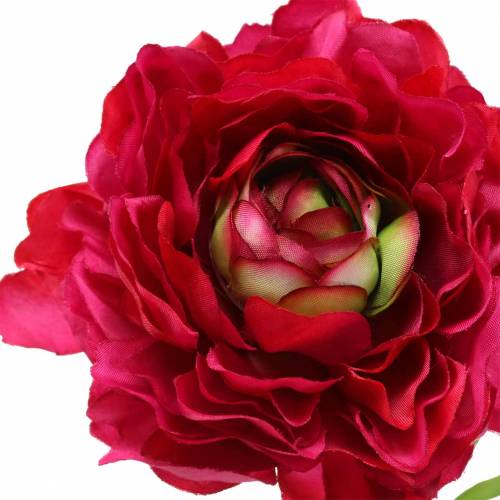 Prodotto Ranunculus rosa scuro artificialmente 51cm