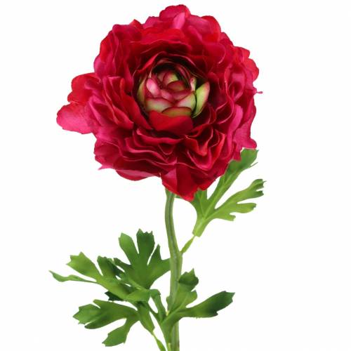 Floristik24 Ranunculus rosa scuro artificialmente 51cm