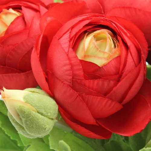 Floristik24 Ranuncolo rosso 30 cm