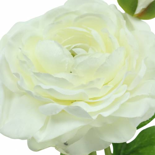 Prodotto Ranuncolo fiore artificiale con bocciolo e bocciolo bianco H34cm