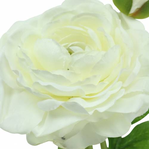 Floristik24 Ranuncolo fiore artificiale con bocciolo e bocciolo bianco H34cm