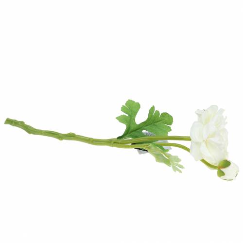 Floristik24 Ranuncolo fiore artificiale con bocciolo e bocciolo bianco H34cm