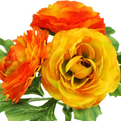 Floristik24 Mazzo di ranuncolo arancione L18cm