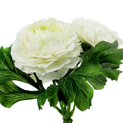 Floristik24 Mazzo di ranuncolo bianco L18cm