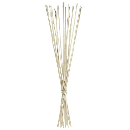 Floristik24 Aste in rattan imbiancate 100 cm 20 pz