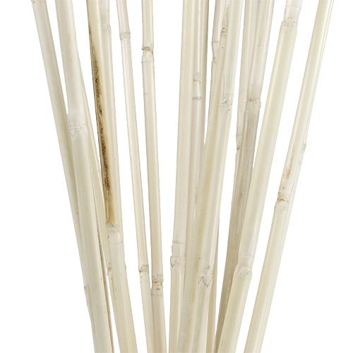 Floristik24 Aste in rattan imbiancate 100 cm 20 pz